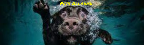 Pets Allowed